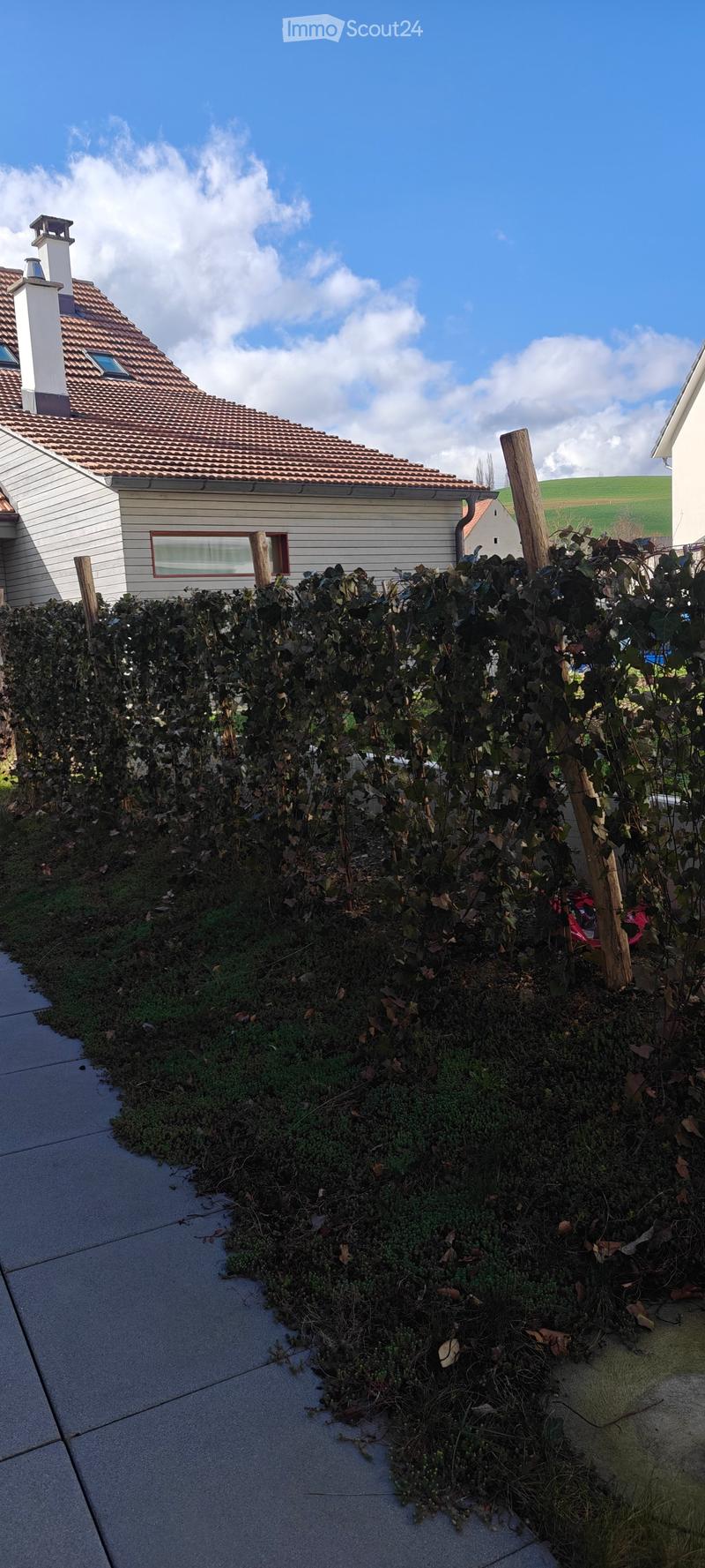 large hedge, green grass, grey pavement, green bush, walkway, red awning, house with brown roof, view of hills