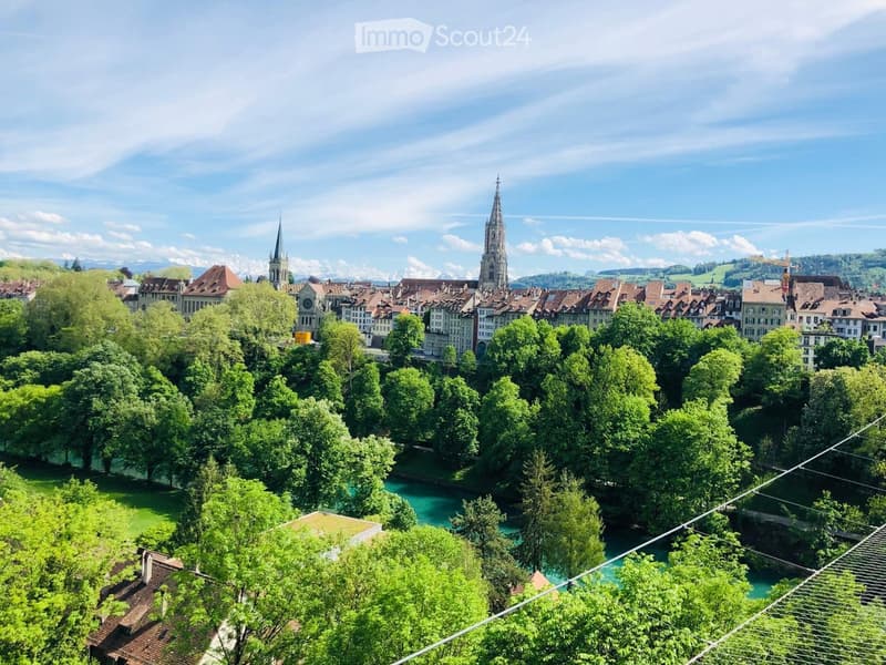 Cityscape with buildings, trees, river, and mountains in the distance