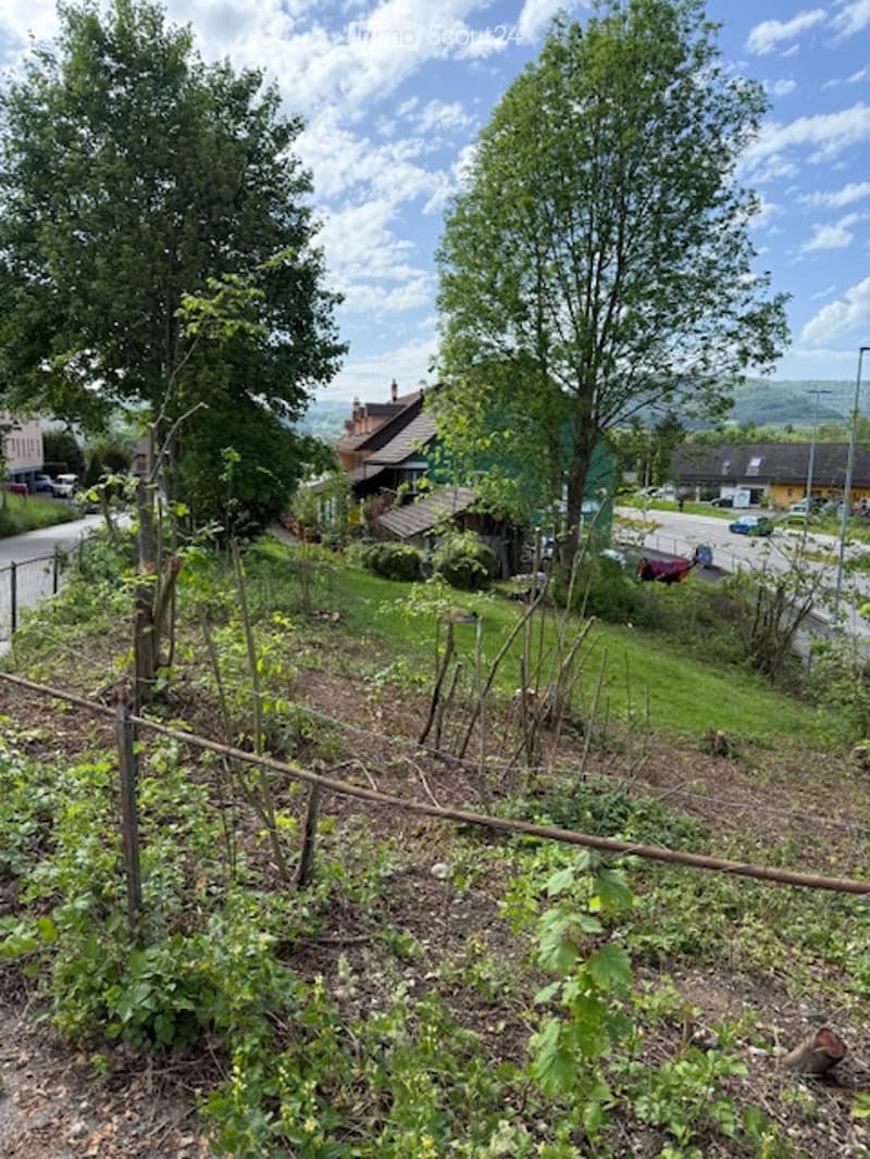 A garden with a variety of plants and trees, a fence, and a sloped terrain.