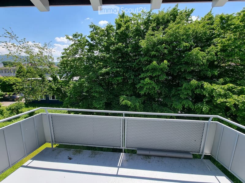 {"visible_features": ["Balcony / Terrace", "View"],    "type": "Balcony",    "description": "Balcony with metal railing, metal panels, concrete floor, view of trees and mountains",    "localized_descriptions":        {        "EN": "Balcony with meta