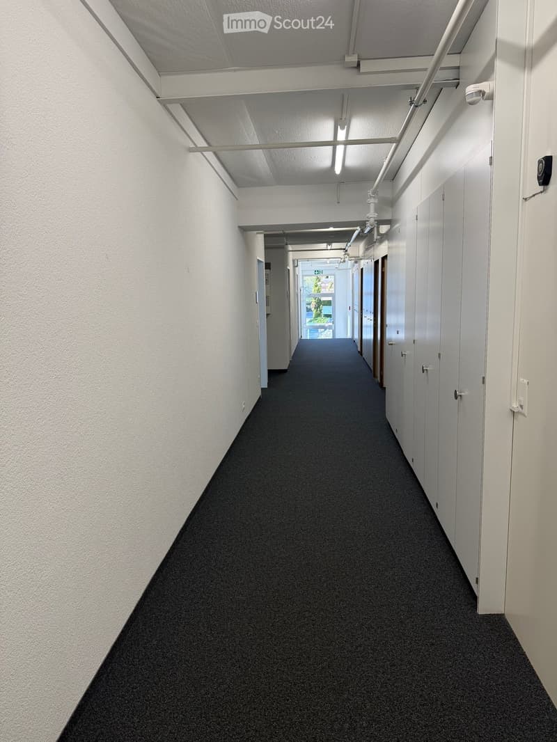 Empty hallway with white walls, black carpet, white doors, and ceiling lights