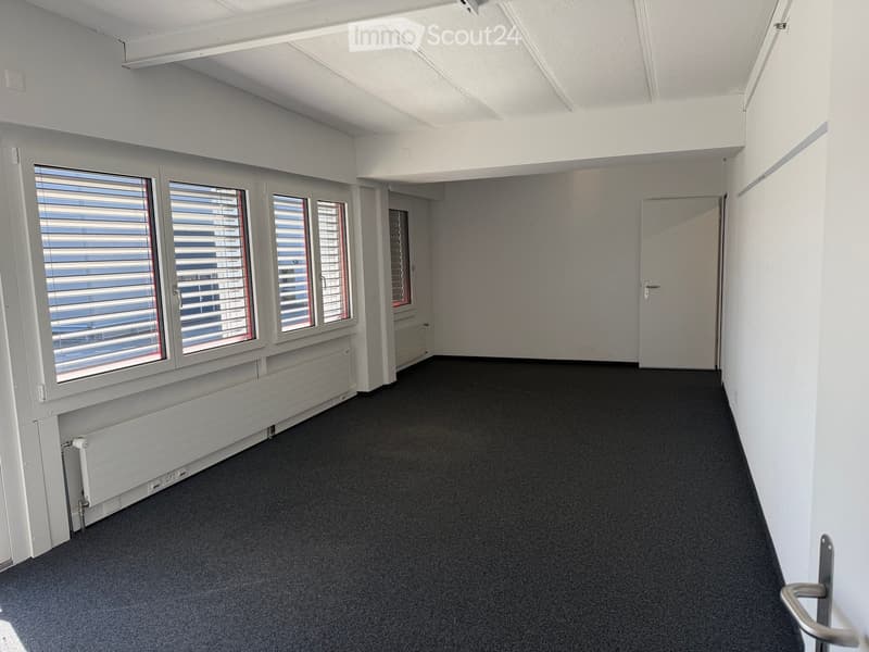 Empty room with white walls, black carpet, large windows, radiator, and a door.