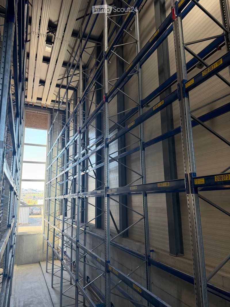 Warehouse with metal shelving units, concrete floor, large windows, and a view of the outside.