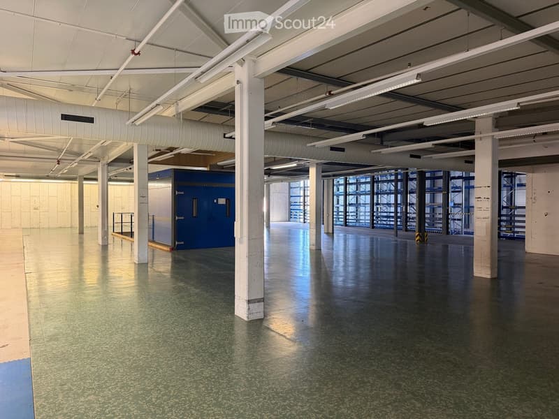 spacious warehouse, high ceiling, white walls, large windows, blue door, metal railings, metal shelves, white floor