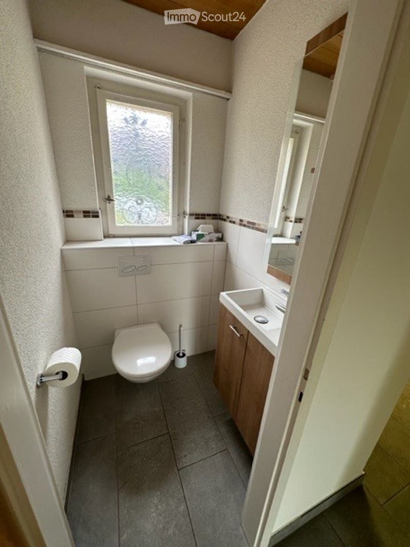 small bathroom with toilet, sink, mirror, and window