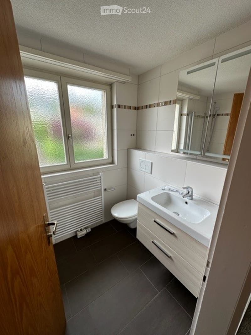 white tiles, white sink, white toilet, white radiator, mirror, wooden door