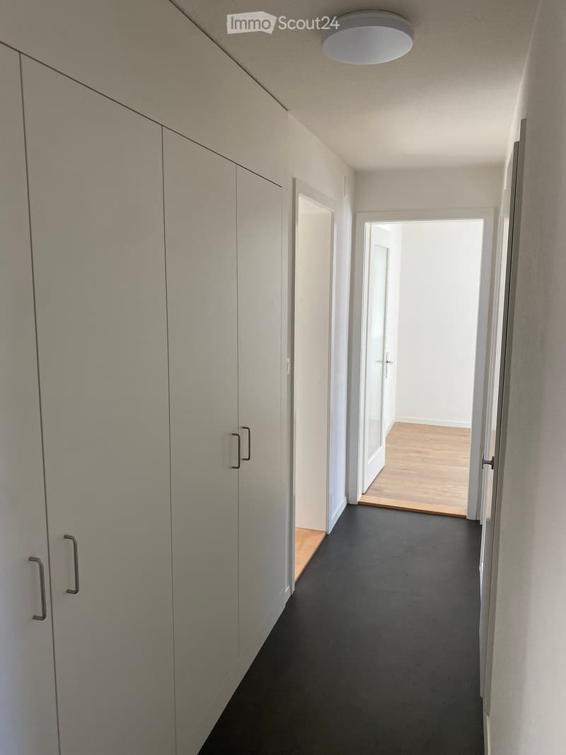Empty hallway with white walls, black floor, large white wardrobes, two doors, one leading to a room with wooden floor, another leading to an empty room