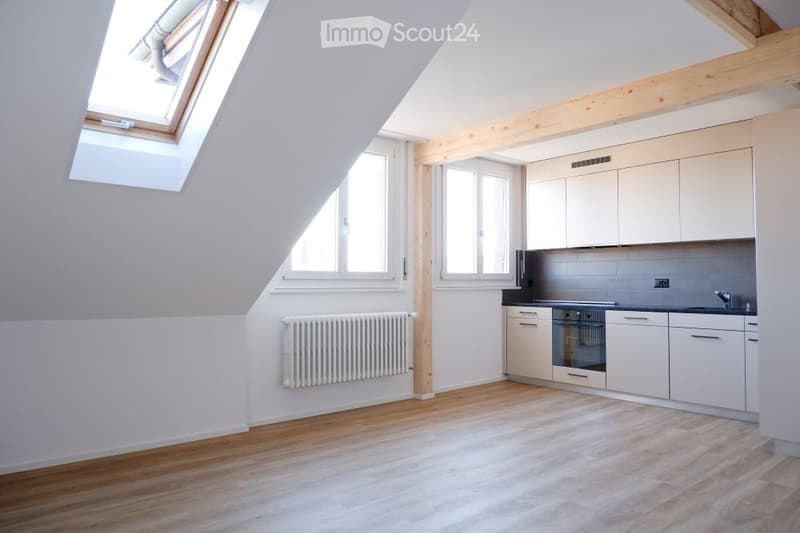 kitchen with white cabinets, wooden floor, white radiator, windows, skylight