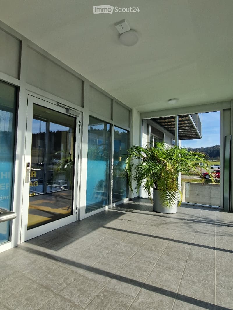 Entrance hallway with white doors, large windows, white ceiling, tile floor, plant