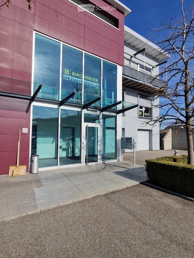 modern office building with glass facade, entrance with glass canopy, signboard reading 'BIRCHMEIER SPEZIALTIEFBAU AG', trash bin, mailbox, bare tree in front, brick pathway