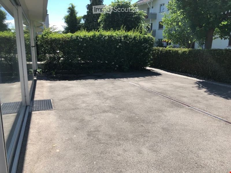 Empty parking lot with a drain in the middle, surrounded by hedges and trees