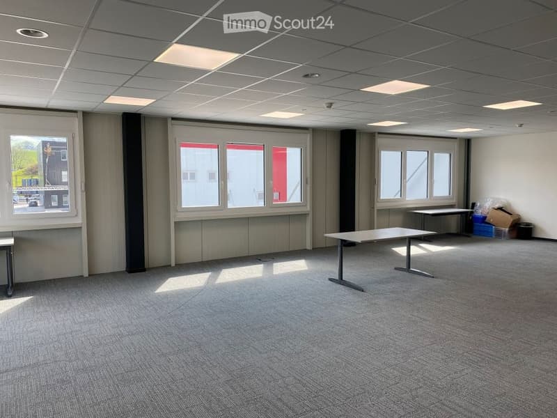 empty room, carpeted floor, white walls, three windows, two tables, black pillars