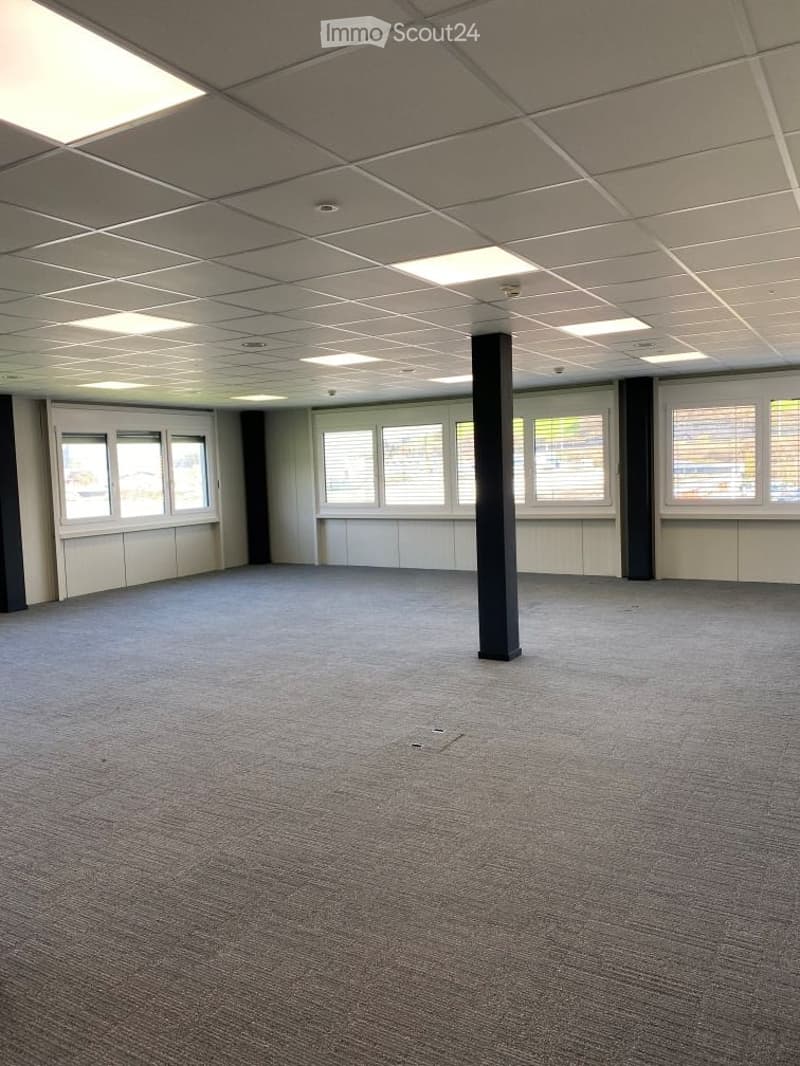 empty room, white walls, gray carpet, large windows, ceiling lights