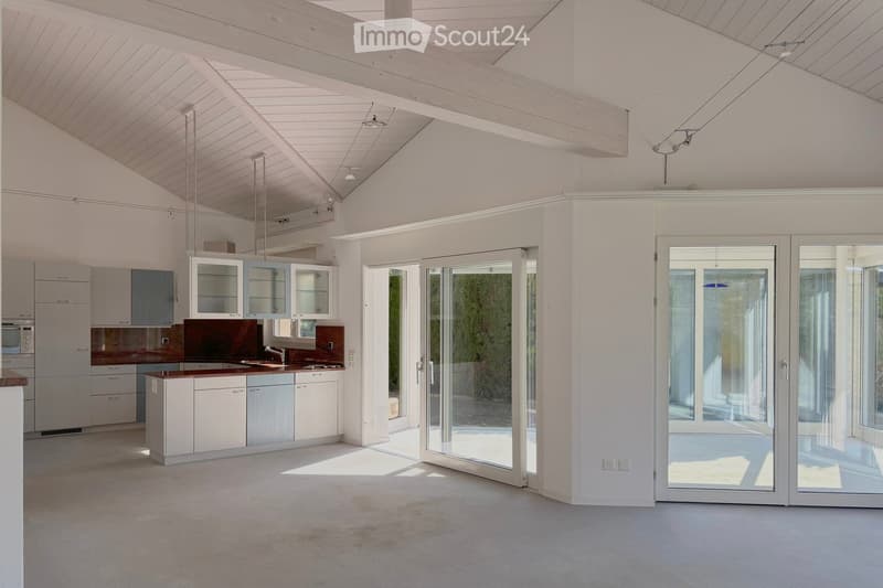 modern kitchen with white cabinets, marble countertop, stainless steel appliances, large windows, sliding glass doors