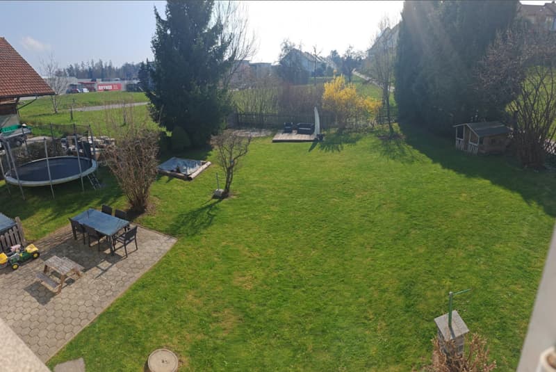 large green lawn, outdoor table and chairs, trampoline, small shed, trees, distant houses