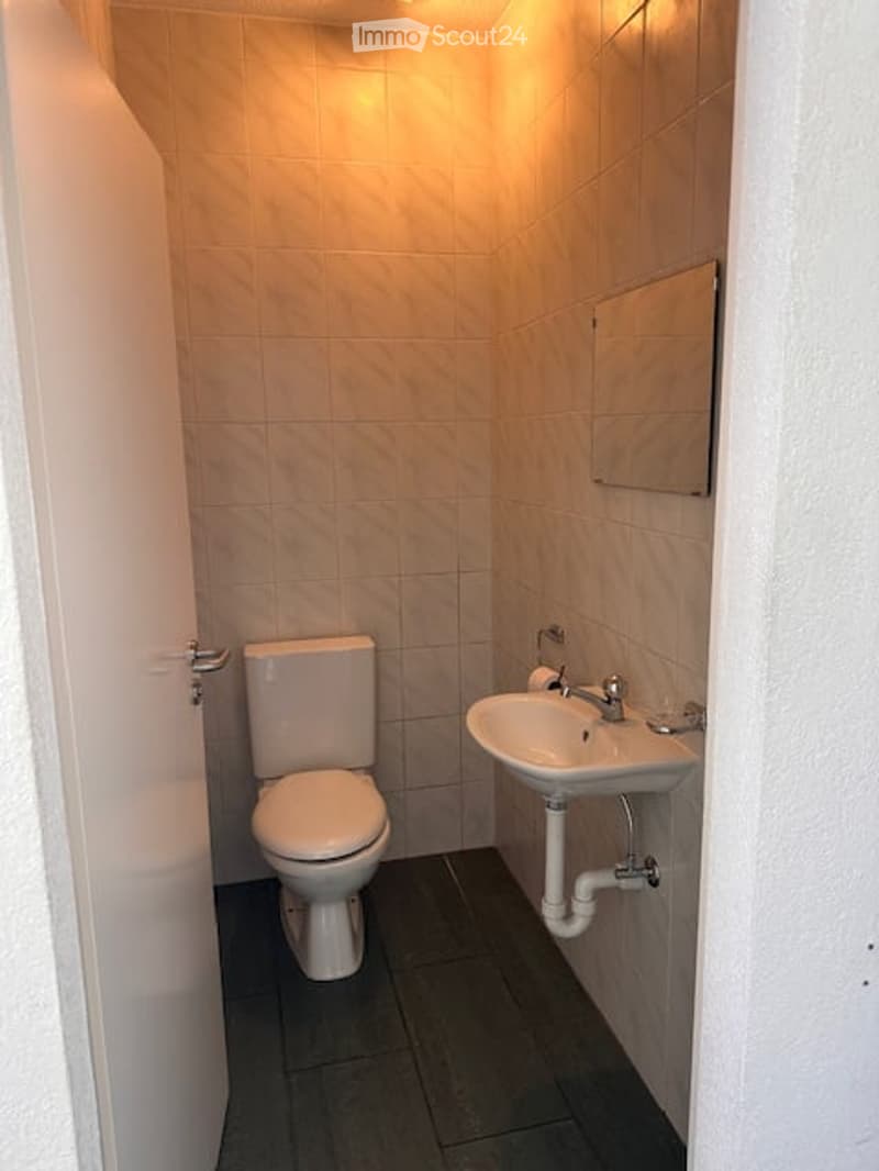small bathroom with toilet, sink, and mirror