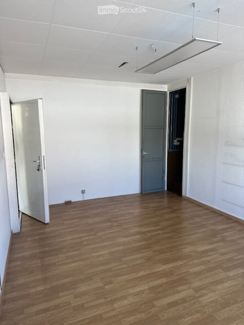 empty room, wooden floor, white walls, two doors, ceiling light
