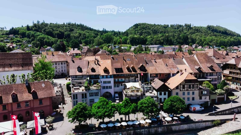 Aerial view of a European town with traditional houses, red-tiled roofs, and a mix of modern and historic architecture, surrounded by greenery and a river.