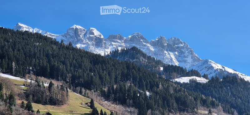 Mountain range with snow-capped peaks, dense forest, and a clear blue sky