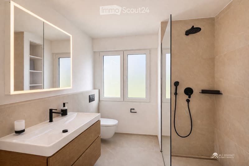 Modern bathroom with a large sink, mirror, toilet, and a separate shower area with a handheld showerhead. Features include a wooden vanity, frosted glass windows, and a sleek design.