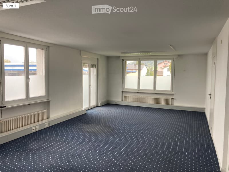 empty room, white walls, blue carpet, large windows, radiators