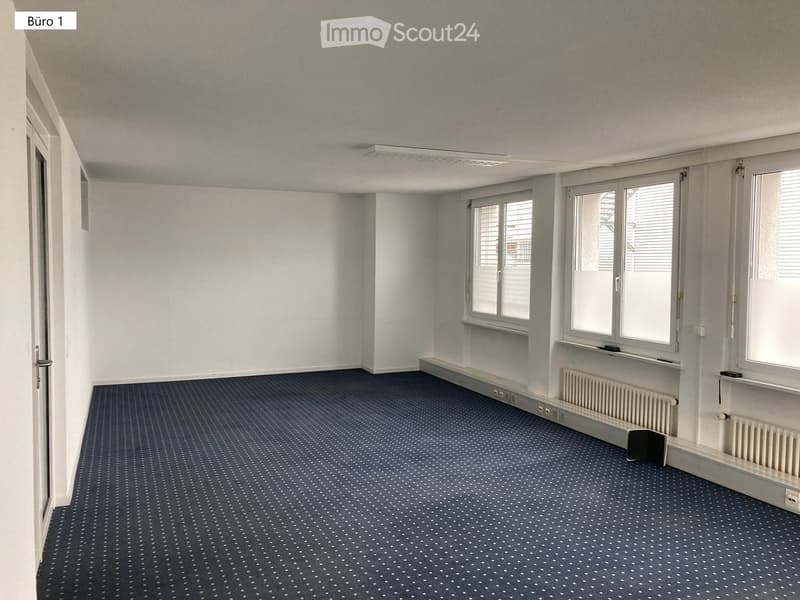empty room, white walls, blue carpet, three windows, radiators, ceiling lamp