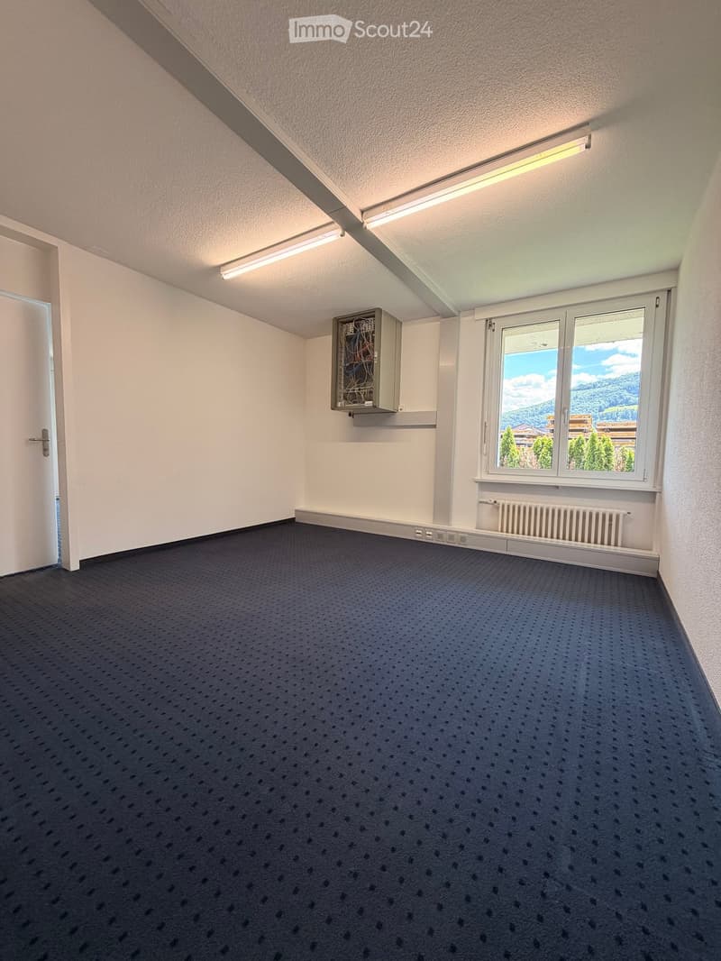 Empty room with grey carpet, white walls, and large window showing a scenic mountain view. Features include a radiator, electrical panel, and a door.