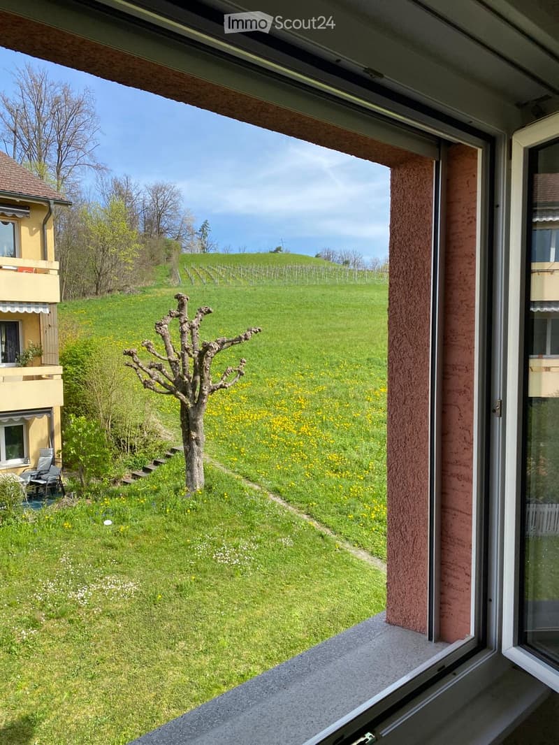 View from a window of a grassy field with a tree and a building in the distance