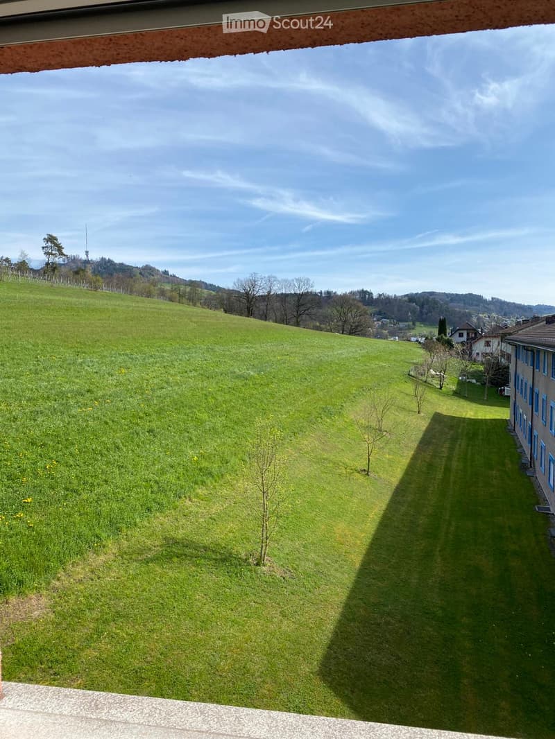 large green field, small trees, blue sky, distant houses, mountains