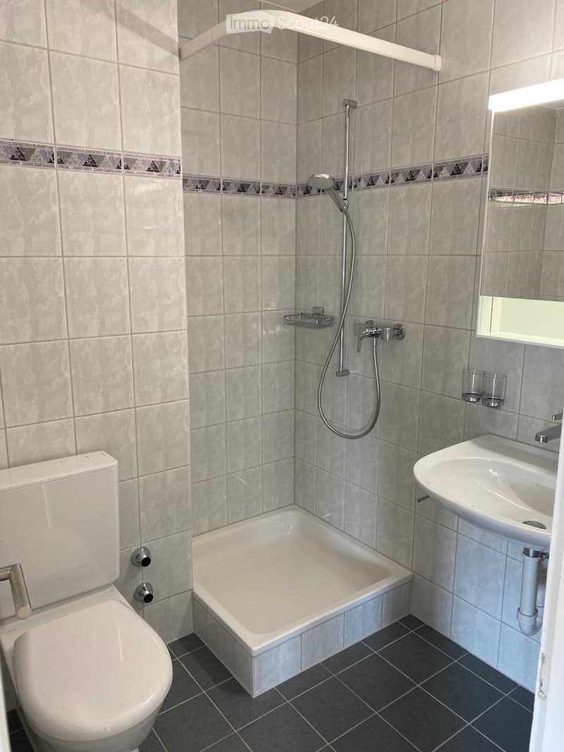 modern bathroom with white tiles, shower, toilet, sink, mirror, and black floor tiles