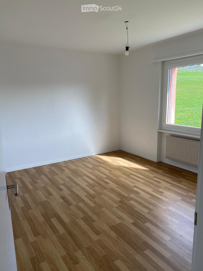 empty room, wooden floor, white walls, window with view of a field