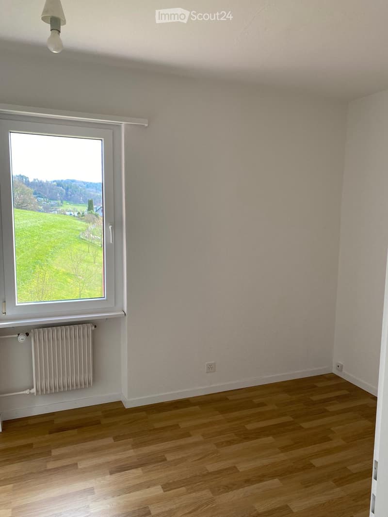 empty room, white walls, wooden floor, window with view of a green field, white radiator