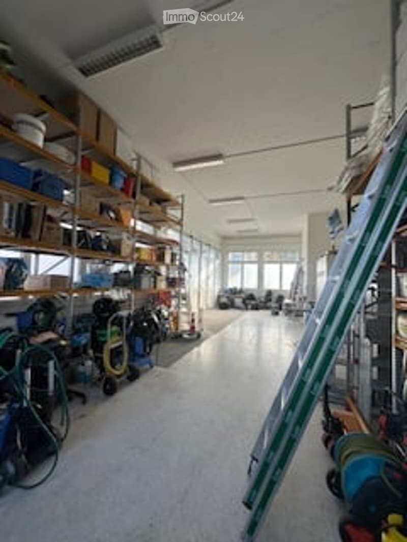 Storage room with shelves, ladder, cleaning equipment, boxes, and other items