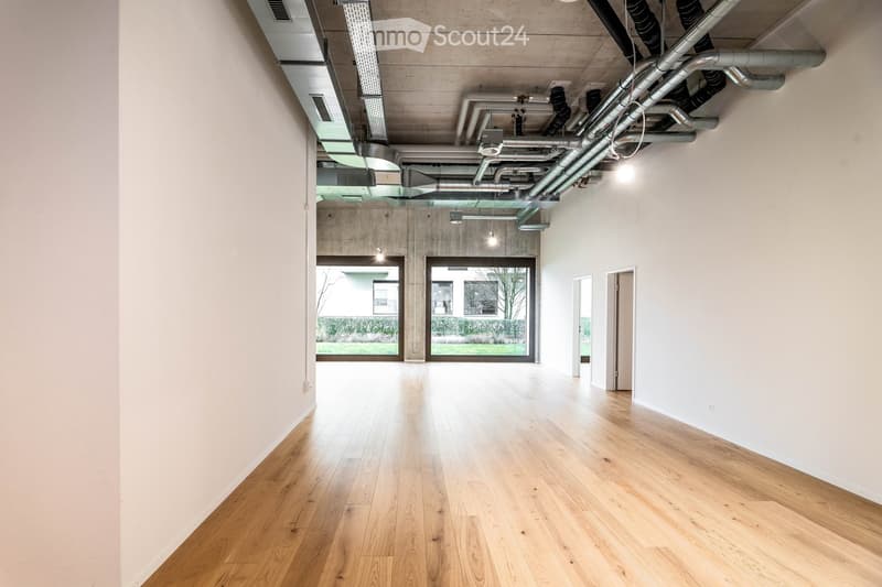 empty room, hardwood floors, white walls, large windows, exposed pipes