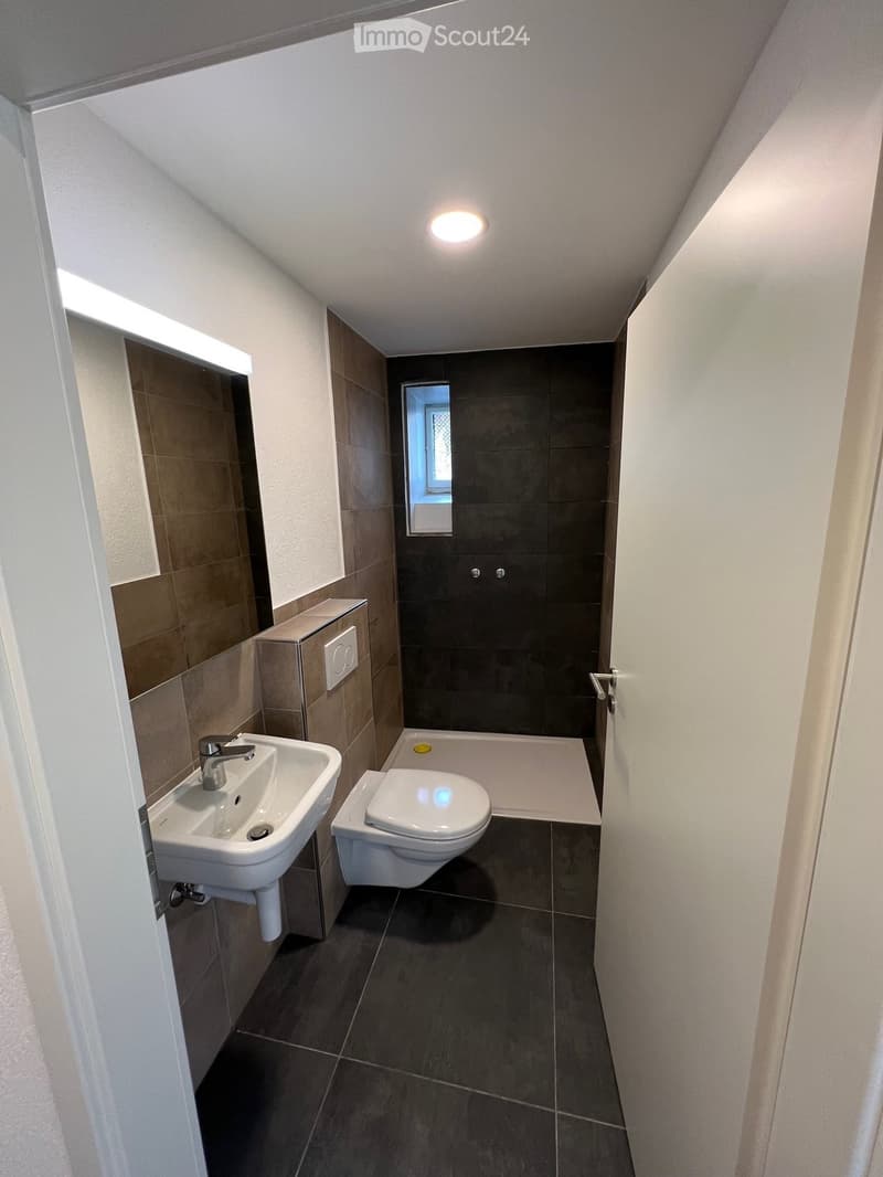 small bathroom with sink, toilet, and shower