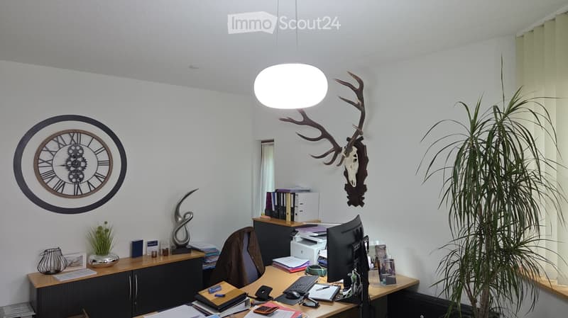 Desk with computer, monitor, keyboard, mouse, books, papers, and a plant. A cabinet with a clock and a deer head mounted on the wall. A chair and a lamp hanging from the ceiling.