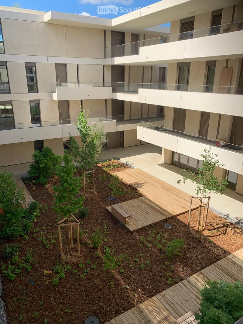 A garden with wooden pathways, small trees, shrubs, and a wooden bench.