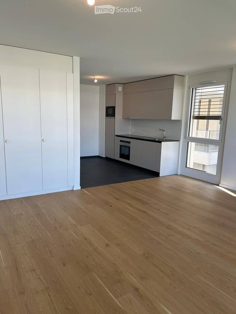 Open plan living and kitchen area, wooden floor, white cabinets, black countertop, modern appliances, large window