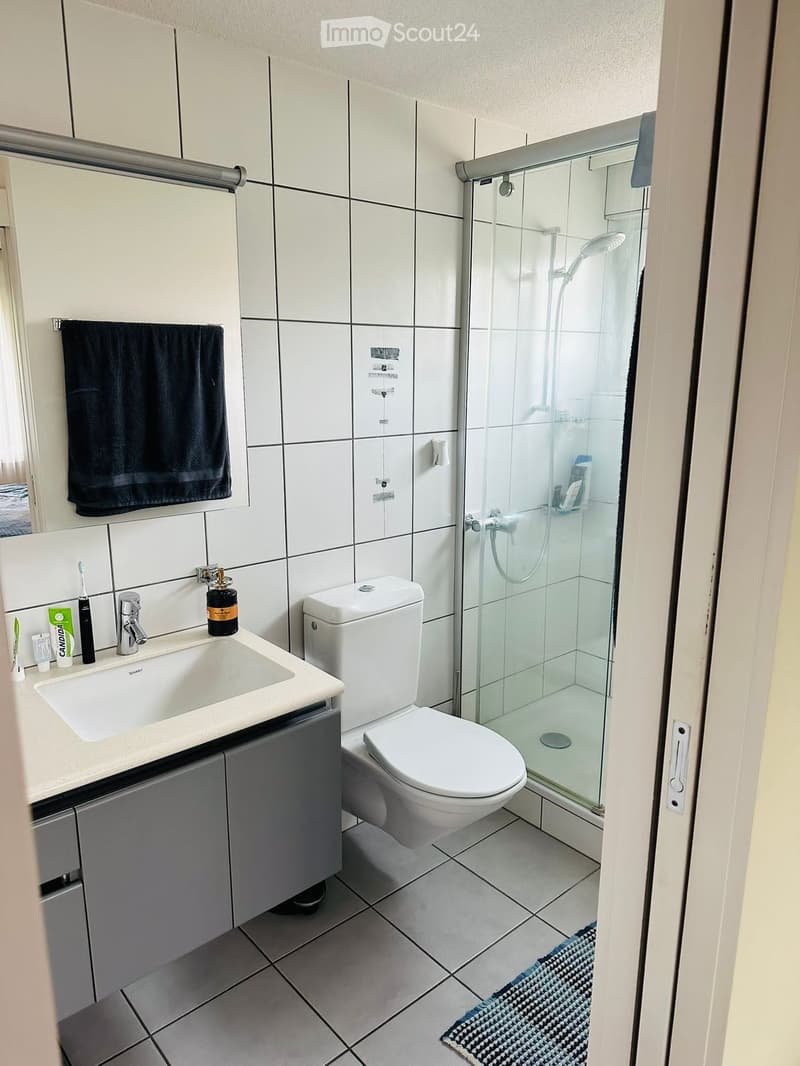 white tiled walls, white sink, white toilet, glass shower enclosure, towel rack, mirror, rug