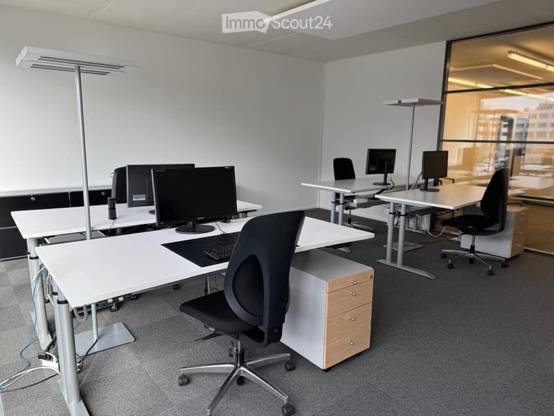 modern office with white desks, black chairs, computer monitors, and adjustable lamps