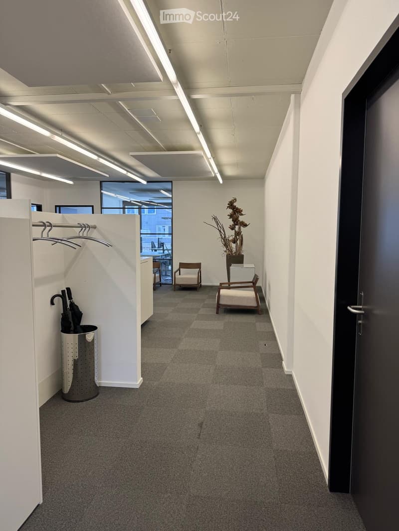 Empty office space with white walls, gray carpet, ceiling lights, a trash bin, and a plant in a pot.