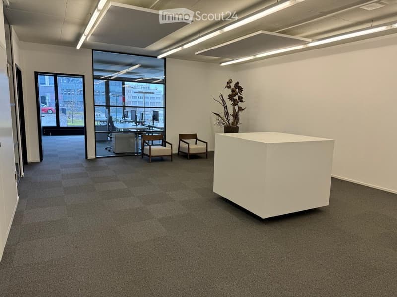 empty room, carpeted floor, white walls, large windows, desk, chairs, plant