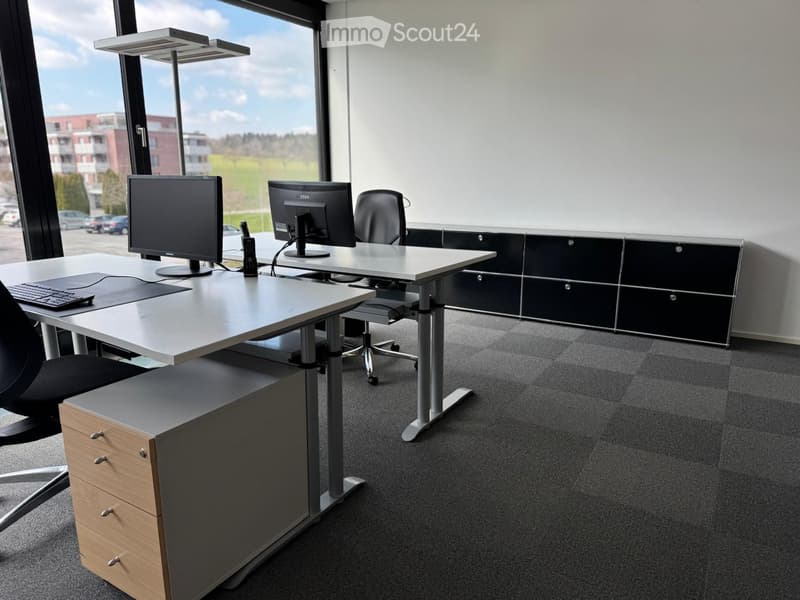 Office room with two desks, computer monitors, chairs, cabinets, and a view of the outside.