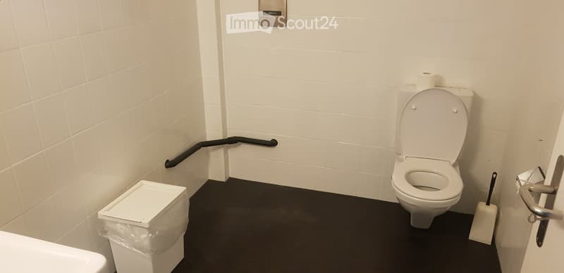 small bathroom with toilet, sink, trash can, and a toilet paper holder