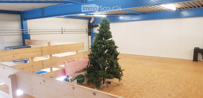 Empty room, wooden floor, Christmas tree, white walls, wooden loft, metal beams