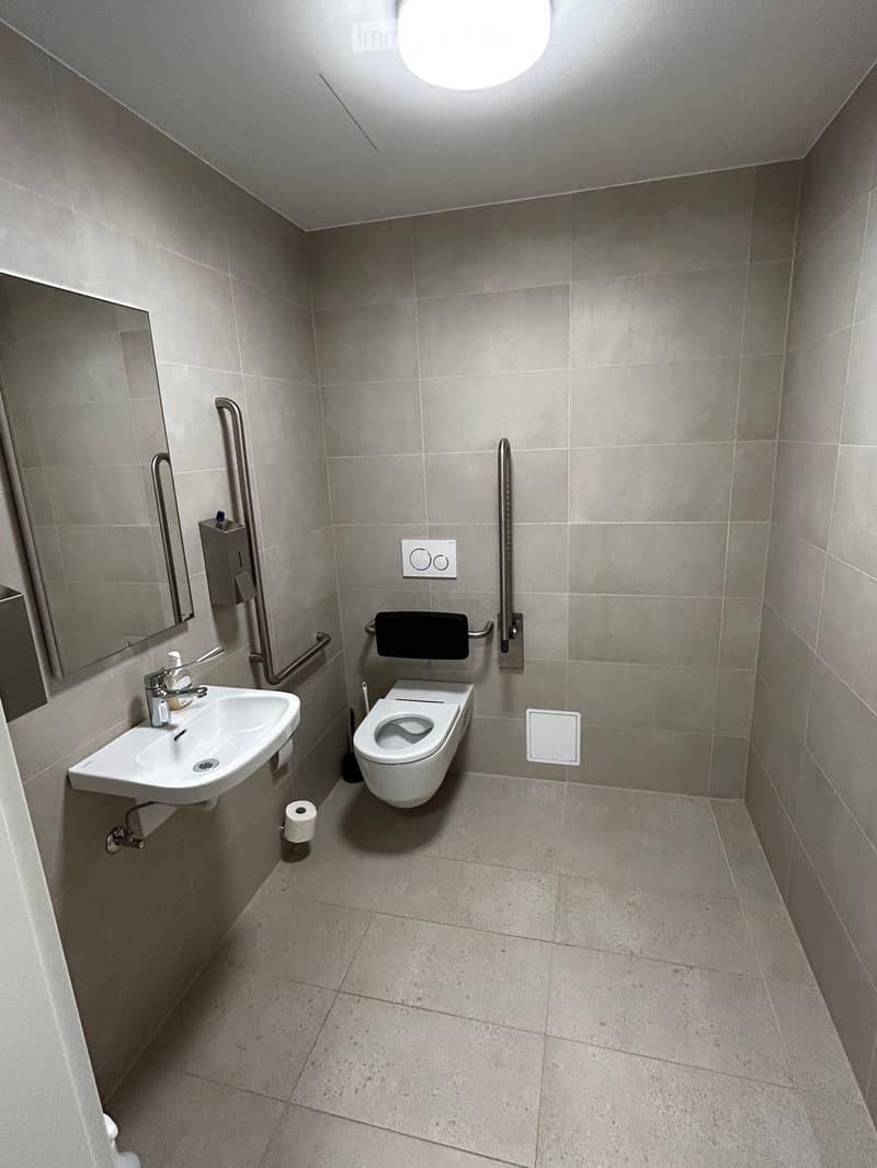 small bathroom with toilet, sink, mirror, and grab bars