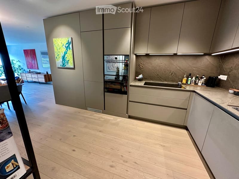 modern kitchen with wooden floor, gray cabinets, granite countertop, built-in oven, sink, and faucet, various kitchen items on the countertop