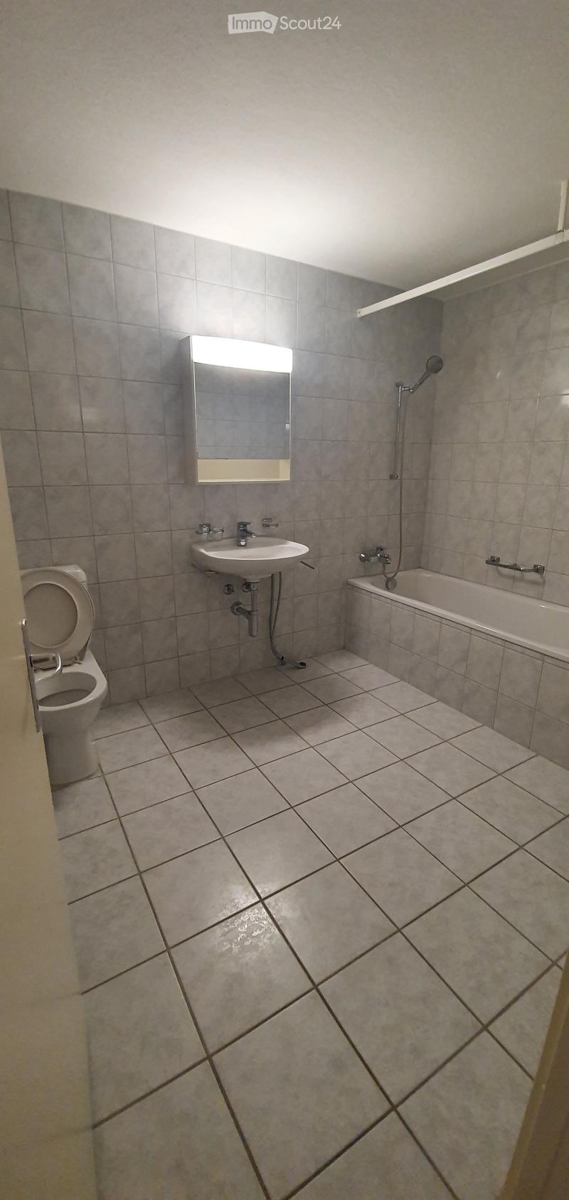 Bathroom with toilet, sink, bathtub, and shower