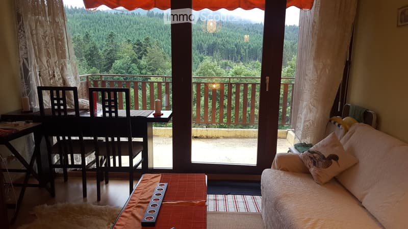 A living room with a couch, a table, and a balcony with a view of the forest