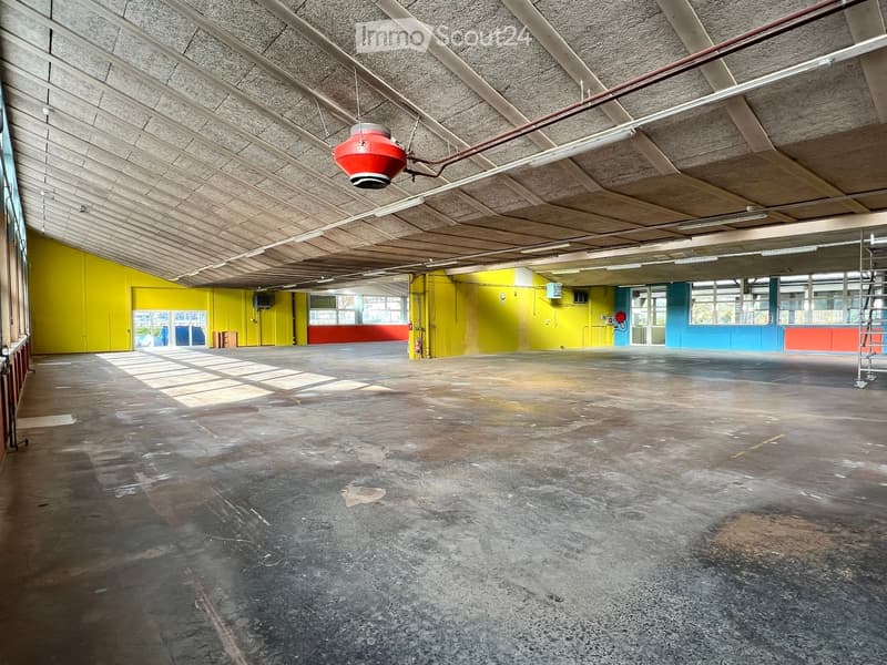 large empty room, concrete floor, yellow and blue walls, fire extinguisher, ladder